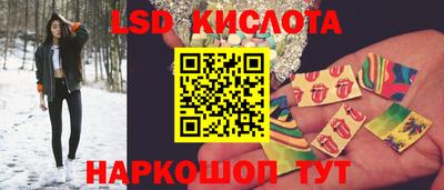 гашик Камышлов