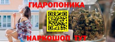 тгк Канаш