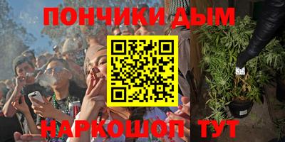 гашик Камышлов