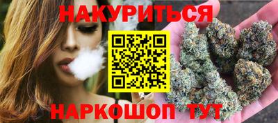 гашик Камышлов