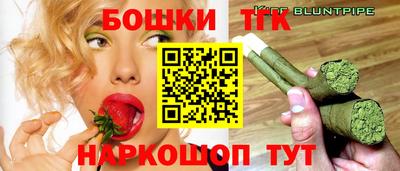 гашик Камышлов