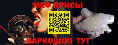 гашик Камышлов