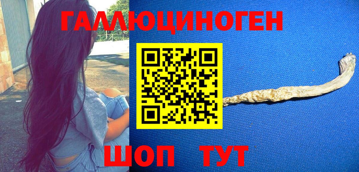 Краснокаменск  Галлюциногенные грибы ЛСД  Вход с VPN 