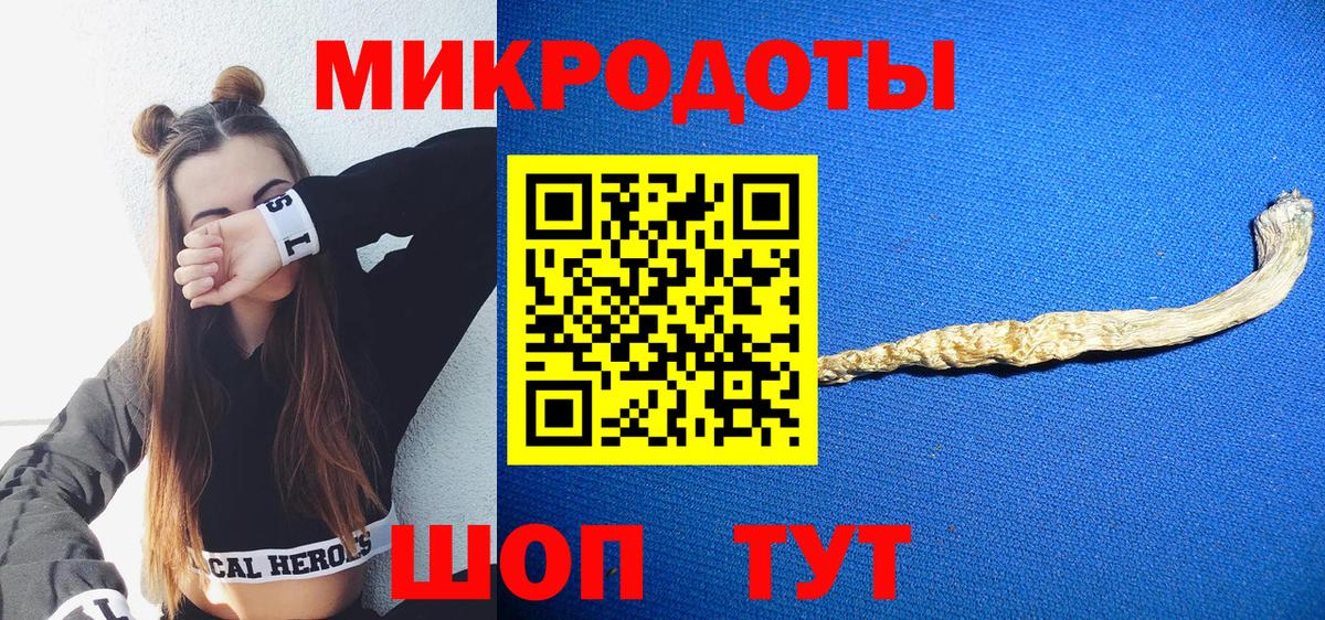 Галлюциногенные грибы Psilocybine cubensis Краснокаменск