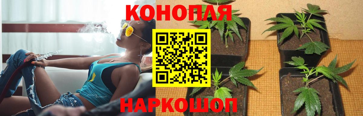 Конопля MAZAR  Бошки марихуана THC 21%  Канабис Ganja  Краснокаменск  Вход с VPN  Каннабис THC 21% 