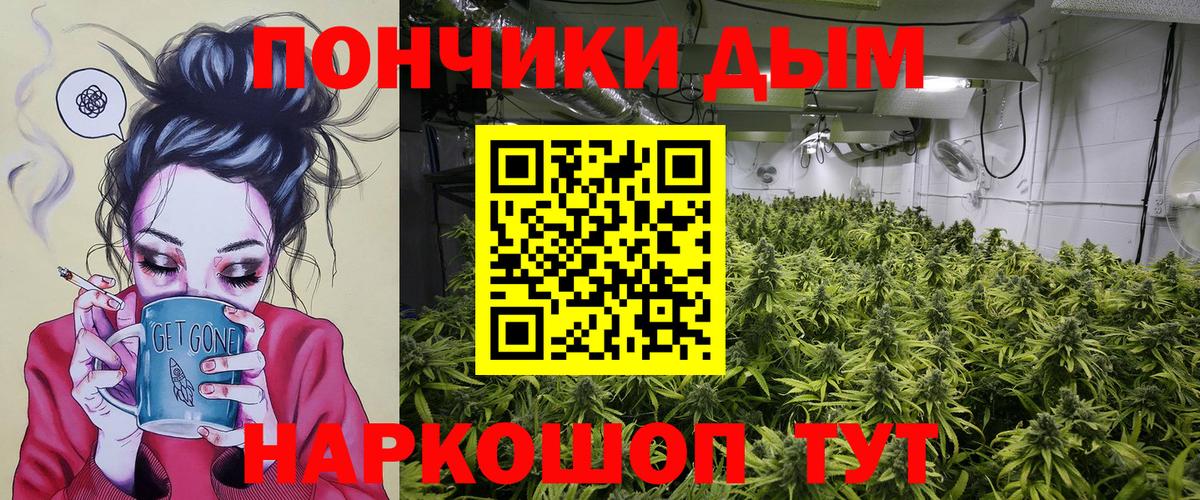 Конопля конопля Краснокаменск